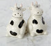 Cows Ceramic Salt & Pepper Shakers - DII Design Imports