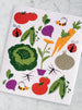 Veggie Swedish Dishcloth - DII Design Imports