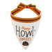 Howl-Oween Pet Bandana Mixed Pack