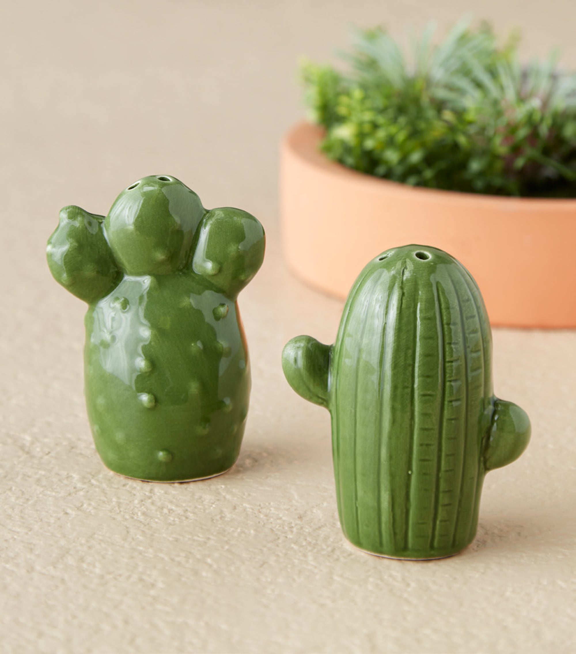 succulent salt and pepper shakers Wholesale Cactus Ceramic Salt & Pepper Shakers – Design Imports