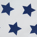 Big Star Printed Napkin Set of 4