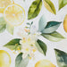 Lemon Grove Assorted Dishtowels- PDQ
