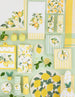 Lemon Grove Assorted Dishtowels- PDQ