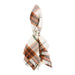 Autumn Picnic Plaid Napkin Set of 4