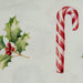 Candy Canes & Holly Printed Round Placemat