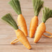 Carrot Napkin Ring Set