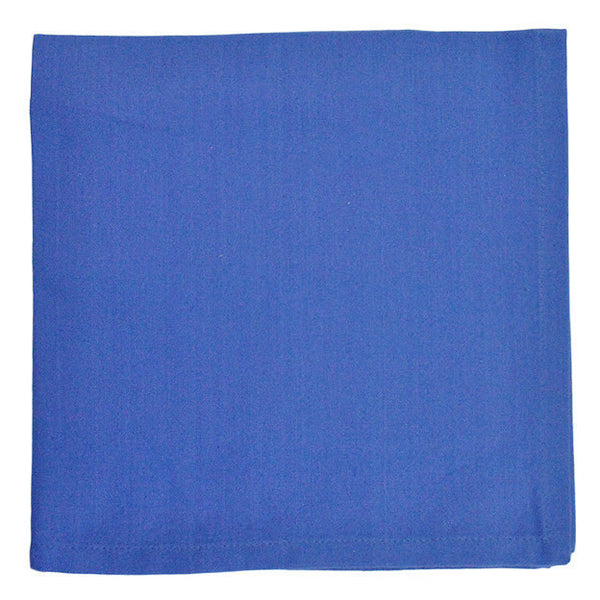 Blueberry Napkin - DII Design Imports